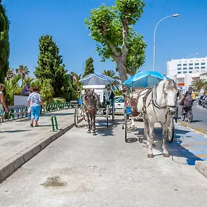 Zorrilla Torrecilla Nerja